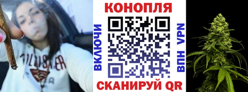 Конопля Калининец