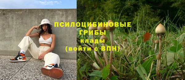 прущая мука Няндома