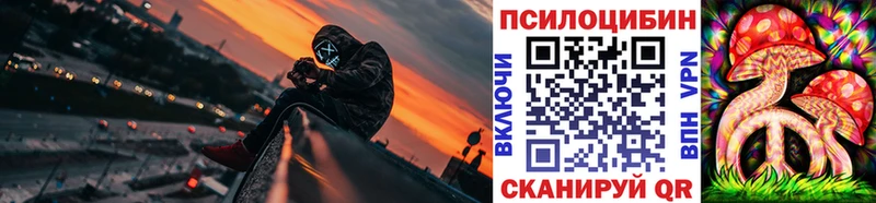 купить наркотик  Калининец  Галлюциногенные грибы мицелий 