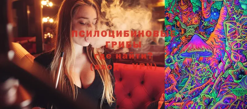 Псилоцибиновые грибы мицелий  наркошоп  Калининец 